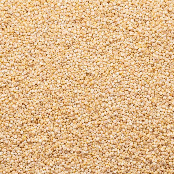 Organic Antique White Quinoa Discount