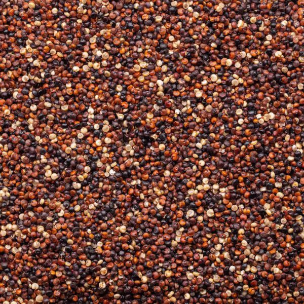 Organic Quinoa - Tri-Color Blend Online