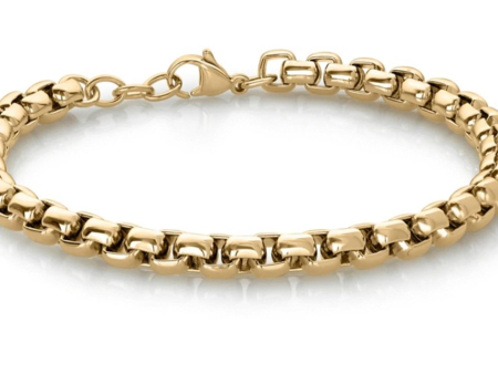 Italgem Stainless Steel Gold IP Plated Box Chain Bracelet on Sale